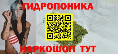 МДПВ Будённовск