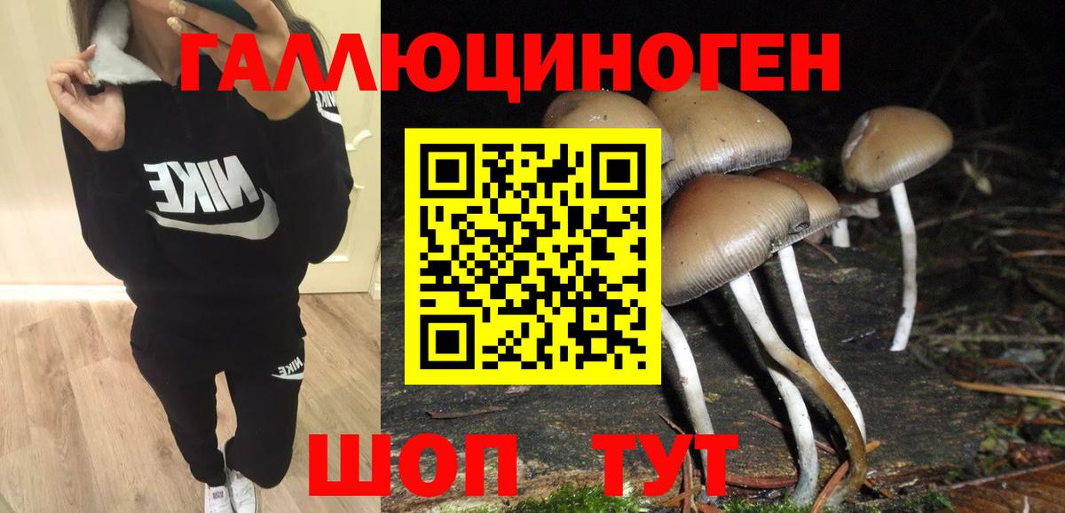 Галлюциногенные грибы Cubensis  Псилоцибиновые грибы мицелий  Вход с VPN  Барабинск 